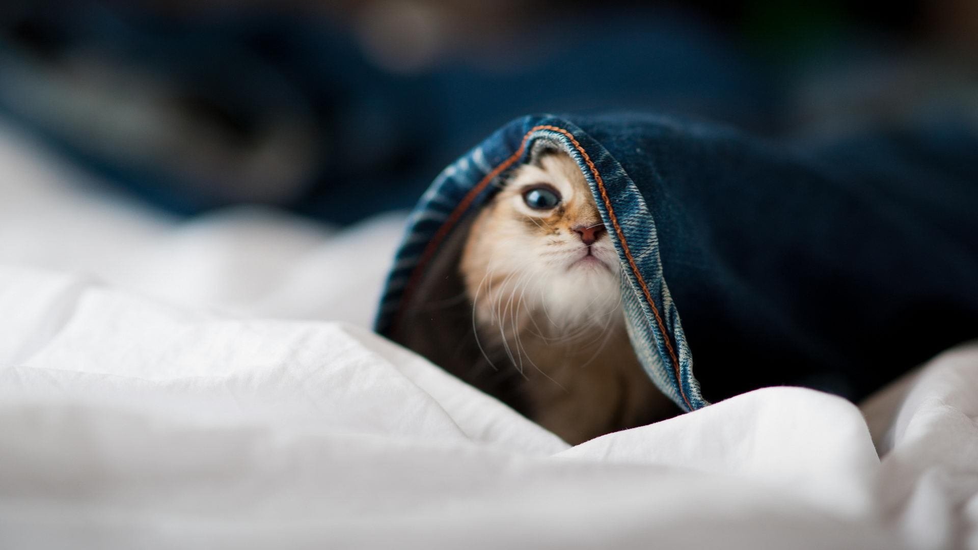 “季后赛首轮战火蔓延,强队遇强队,实力比拼进入白热化”,2022季后赛